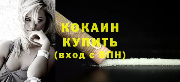 индика Михайлов