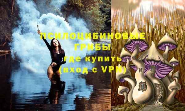 МДМА Медвежьегорск