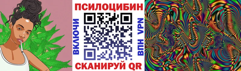 купить закладку  Королёв  Псилоцибиновые грибы Cubensis 